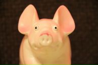 Фотография Гигани Ольги