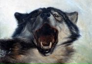 Андрей Кохан фотография #18 (источник - https://vk.com/id183116)