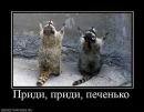 Фотография Яснюка Александра