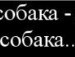 Олексій Заболотний фотография #32 (источник - https://vk.com/id142457519)