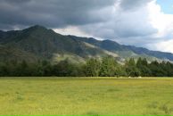 Александр Иляскин фотография #7 (источник - https://vk.com/id520348)