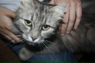 Фотография Скосырской Кати