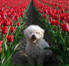 Людмила Ілик фотография #16 (источник - https://vk.com/id124051623)