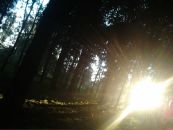 Віктор Шевченко фотография #23 (источник - https://vk.com/id24893271)