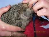 Фотография Ягупова Саши