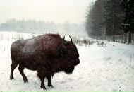 Фотография Мулярчик Марии