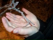 Фотография Гаджиевой Надежды