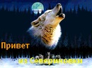 Славік Цветков фотография #12 (источник - https://vk.com/id145163670)