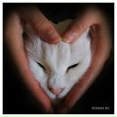 Оксана Бодяко фотография #40 (источник - https://vk.com/id46364940)