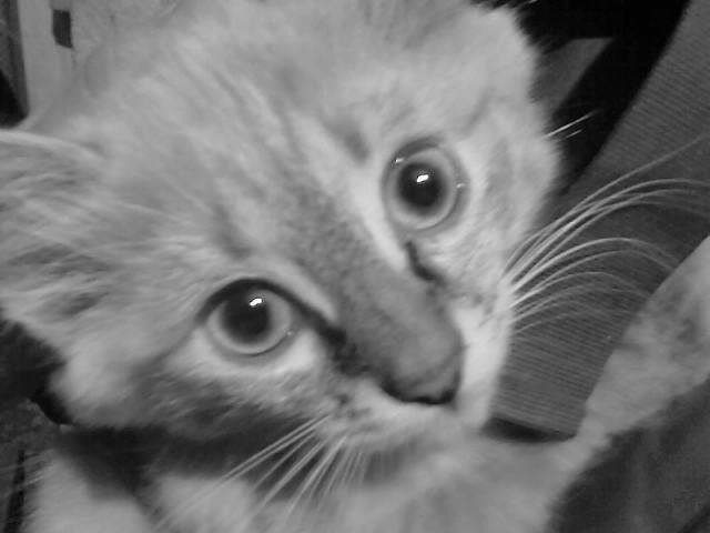 Софья Федотова фотография #41