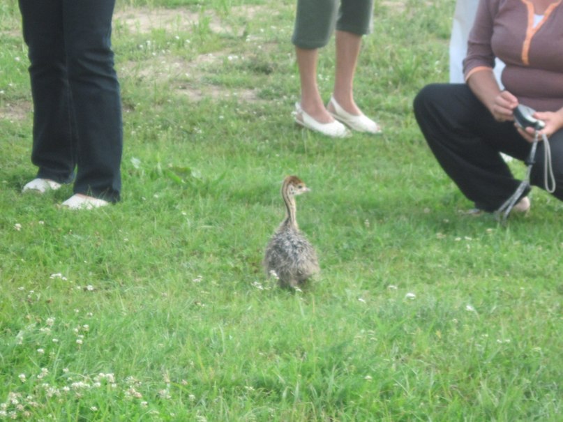 Наталья Гринёва фотография #44