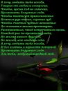 Назар Іськів фотография #2 (источник - https://vk.com/id140366644)