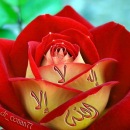 Индира Махмутова фотография #1