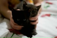 Фотография Логиновой Ольги