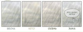 Фотография Пичугиной Олеси