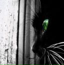 Фотография Псаломщиковой Карины