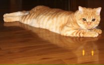 Мария Красная фотография #4 (источник - https://vk.com/id4009431)