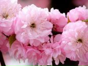 Марія Бусько фотография #5 (источник - https://vk.com/id112961531)