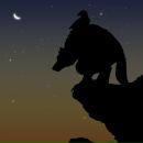 Фотография Шибаева Виталия