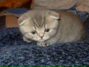 Фотография Одинцовой Маришки