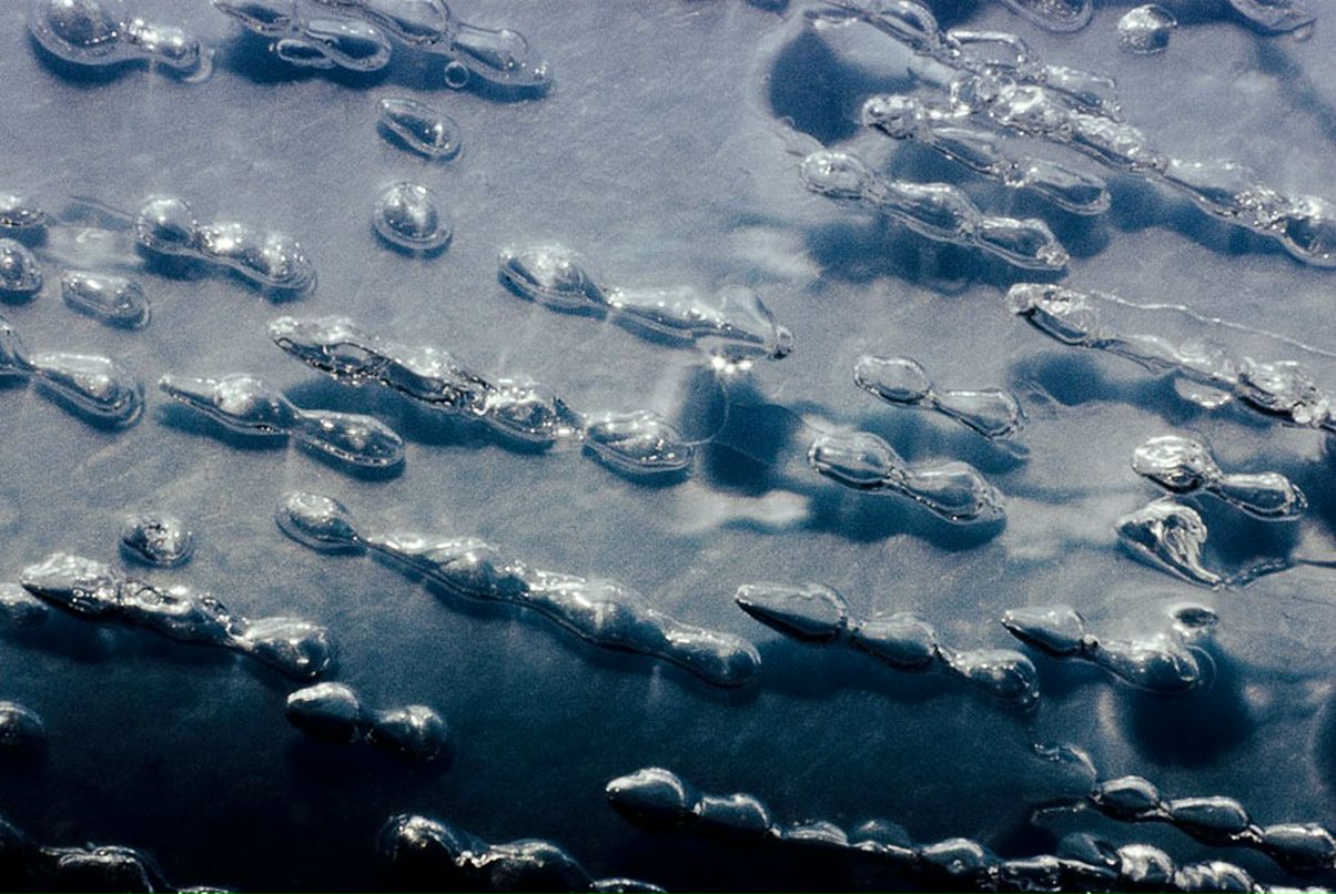 Борис Rider фотография #18