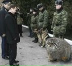 Фотография Тимофеевой Анны