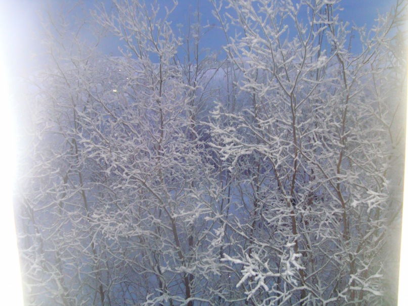 Sergey ?????? фотография #47