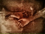 Фотография Аверенкова Ильи