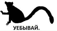 Денис Потанин фотография #9 (источник - https://vk.com/id7607243)