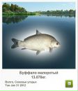 Сергій Тимків фотография #24 (источник - https://vk.com/id56049737)