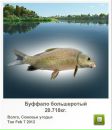 Сергій Тимків фотография #22 (источник - https://vk.com/id56049737)