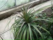 Віктор Охремов фотография #2 (источник - https://vk.com/id58064281)