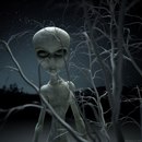 Ярік Гетьман фотография #32 (источник - https://vk.com/id141621782)