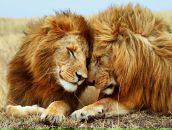 Фотография Лето Лейсан