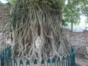 Дмитрий Якунин фотография #34 (источник - https://vk.com/id17735400)