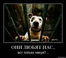 Чорна Депресія фотография #20 (источник - https://vk.com/id22016876)