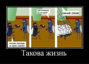 Дмитрий Царев фотография #39 (источник - https://vk.com/id2889691)