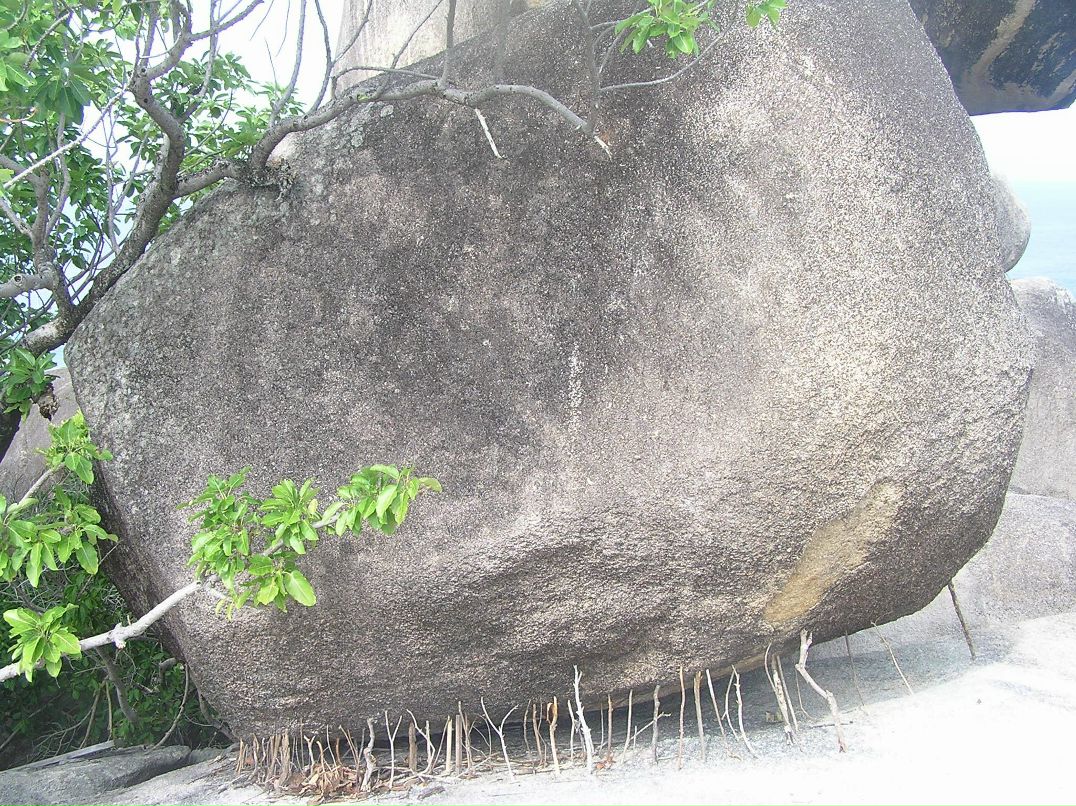 Иван Триполев фотография #48