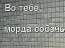 Вадім Варивода фотография #30 (источник - https://vk.com/id105080467)