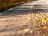 Міша Чокан фотография #20 (источник - https://vk.com/id132361808)