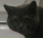 Фотография Владимировой Юлии