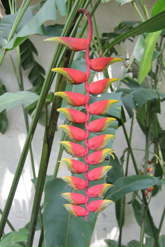 Дмитрий Симонов фотография #20