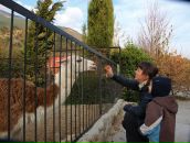 Фотография Токаревой Дарии