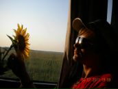 Фотография Пятаченко Алексея