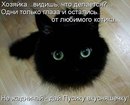 Андрий Хольвінський фотография #34 (источник - https://vk.com/id161964560)