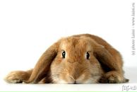 Фотография Спектор Нины