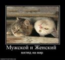 Фотография Лапушкиной Ольги