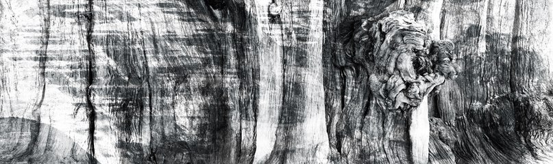 Людмила Евсютина фотография #11