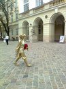 Вікторія Гумін фотография #40 (источник - https://vk.com/id104079083)