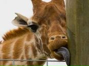 Фотография Солининой Ренаты